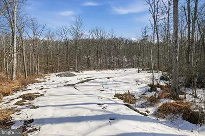 0 Stoney Mountain Dr, Strasburg, VA 22657 - Photo 5