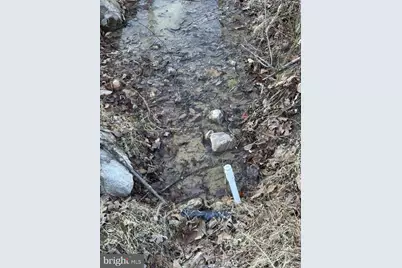 0 Stoney Mountain Dr, Strasburg, VA 22657 - Photo 13