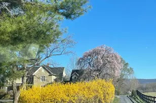 1654 Milldale Rd, Front Royal, VA 22630 - Photo 23