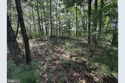 Stokes Airport Road #18-81F, Front Royal, VA 22630 - Photo 1