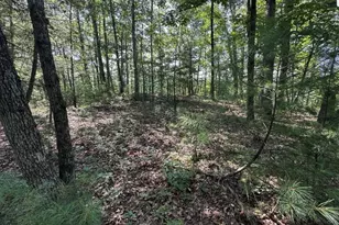 Stokes Airport Rd, Front Royal, VA 22630 - Photo 1