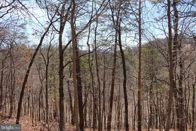 Wendy Hill Road, Front Royal, VA 22630 - Photo 5