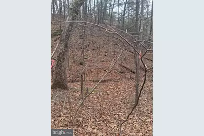 Vesey Drive, Front Royal, VA 22630 - Photo 3