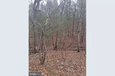 Vesey Drive, Front Royal, VA 22630 - Photo 7