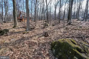 59 Alpine Dr, Front Royal, VA 22630 - Photo 13