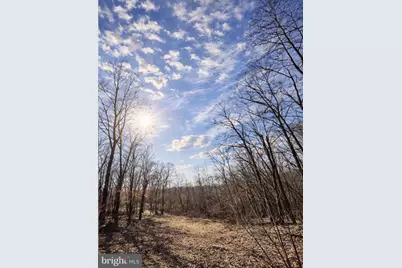 0 Messick Road, Strasburg, VA 22657 - Photo 5