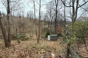 521 Northern Spy Dr, Linden, VA 22642 - Photo 29