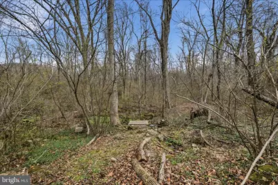 107 Top Of Loop Lane, Bentonville, VA 22610 - Photo 7