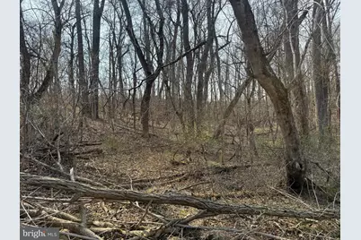 Lot A6 Harris Drive, Front Royal, VA 22630 - Photo 3