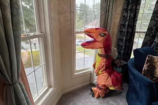 1130 Happy Ridge Dr, Front Royal, VA 22630 - Photo 47