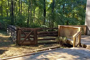 316 Judy Ln, Front Royal, VA 22630 - Photo 81