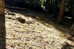 316 Judy Ln, Front Royal, VA 22630 - Photo 15