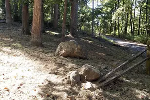 316 Judy Ln, Front Royal, VA 22630 - Photo 3