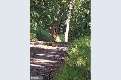 316 Judy Lane, Front Royal, VA 22630 - Photo 21