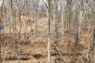 156 Dry Run Ct, Front Royal, VA 22630 - Photo 33