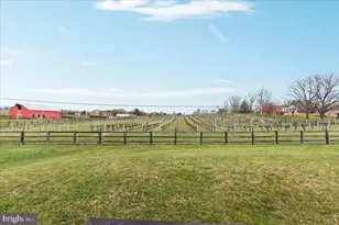 107 Highfield Ln, Front Royal, VA 22630 - Photo 29