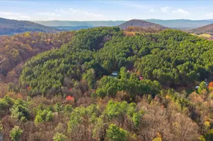 470 Red Hille Way, Bentonville, VA 22610 - Photo 61