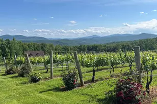 5 Lee Dr, Linden, VA 22642 - Photo 35