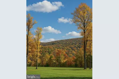 5 Lee Drive, Linden, VA 22642 - Photo 5