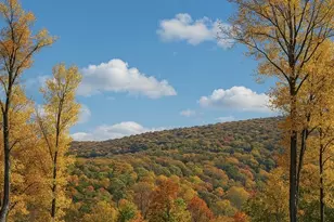 5 Lee Dr, Linden, VA 22642 - Photo 5