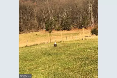 4001 Bentonville Road, Bentonville, VA 22610 - Photo 55