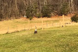 4001 Bentonville Rd, Bentonville, VA 22610 - Photo 55