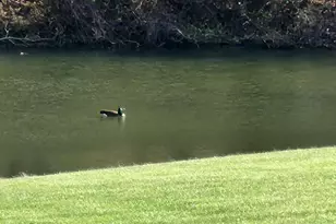 4001 Bentonville Rd, Bentonville, VA 22610 - Photo 53