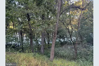 272 Juniper Drive, Front Royal, VA 22630 - Photo 7