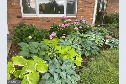 165 Wilson Burke Road, Front Royal, VA 22630 - Photo 3