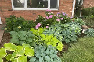 165 Wilson Burke Rd, Front Royal, VA 22630 - Photo 3