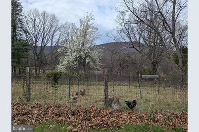 165 Wilson Burke Road, Front Royal, VA 22630 - Photo 9