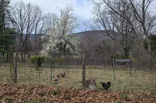 165 Wilson Burke Rd, Front Royal, VA 22630 - Photo 9