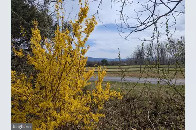 165 Wilson Burke Road, Front Royal, VA 22630 - Photo 5