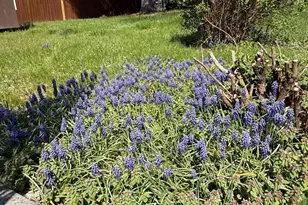 341 W 9th St, Front Royal, VA 22630 - Photo 21