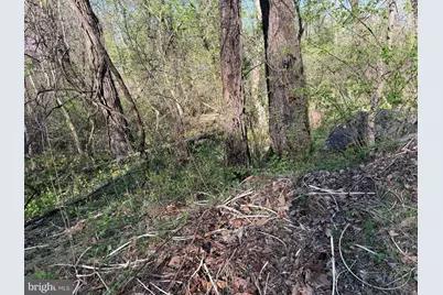 Lot 1-9 Dragons Road, Linden, VA 22642 - Photo 9