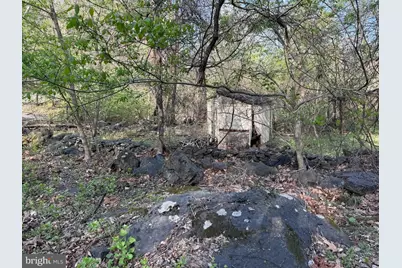 Lot 1-9 Dragons Road, Linden, VA 22642 - Photo 7