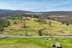 Gooney Manor Loop, Bentonville, VA 22610 - Photo 1