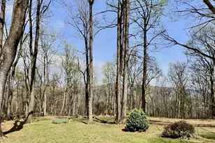 49 Pocahontas Rd, Front Royal, VA 22630 - Photo 25