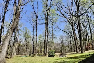 49 Pocahontas Rd, Front Royal, VA 22630 - Photo 29