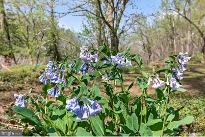 400 Deer Run Circle, Front Royal, VA 22630 - Photo 107
