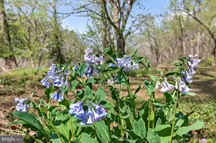 400 Deer Run Cir, Front Royal, VA 22630 - Photo 107