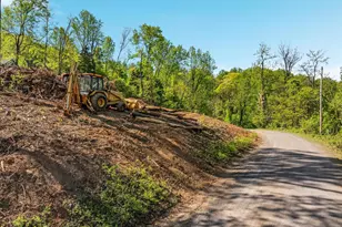 Susan's - Lot 24A, Front Royal, VA 22630 - Photo 49