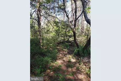 Happy Creek Road, Front Royal, VA 22630 - Photo 21