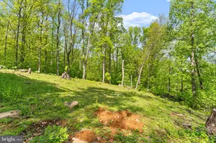 293 Old Sawmill Rd, Front Royal, VA 22630 - Photo 47