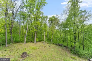 293 Old Sawmill Rd, Front Royal, VA 22630 - Photo 45
