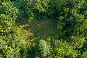 A4 Gooney Manor Loop, Bentonville, VA 22610 - Photo 51