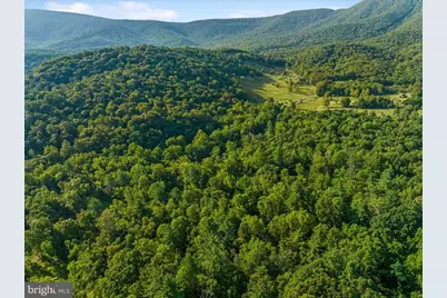 A4 Gooney Manor Loop, Bentonville, VA 22610 - Photo 55