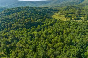 A4 Gooney Manor Loop, Bentonville, VA 22610 - Photo 55