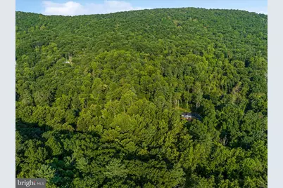 A4 Gooney Manor Loop, Bentonville, VA 22610 - Photo 57