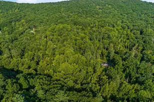 A4 Gooney Manor Loop, Bentonville, VA 22610 - Photo 57